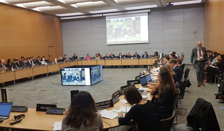 142nd Meeting of the Directorate for Employment, Labour and Social Affairs of OECD Was Held in Paris