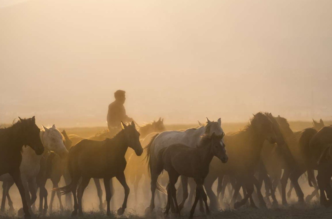 Cologne Labour and Social Security Attaché's Office Organized a Photography Exhibition with the Theme “On Labor, Life and Space”
