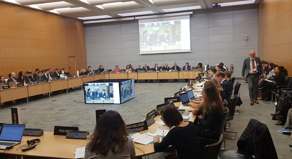 OECD İstihdam, Çalışma ve Sosyal İşler Komitesinin 142’nci Toplantısı Paris’te Gerçekleştirildi