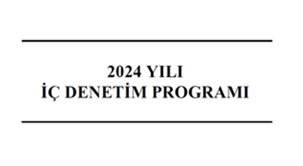 2024 Yılı İç Denetim Programı