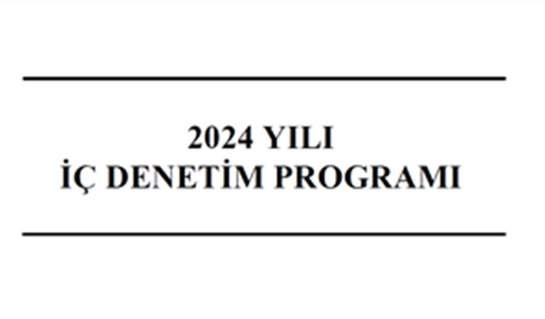 2024 Yılı İç Denetim Programı